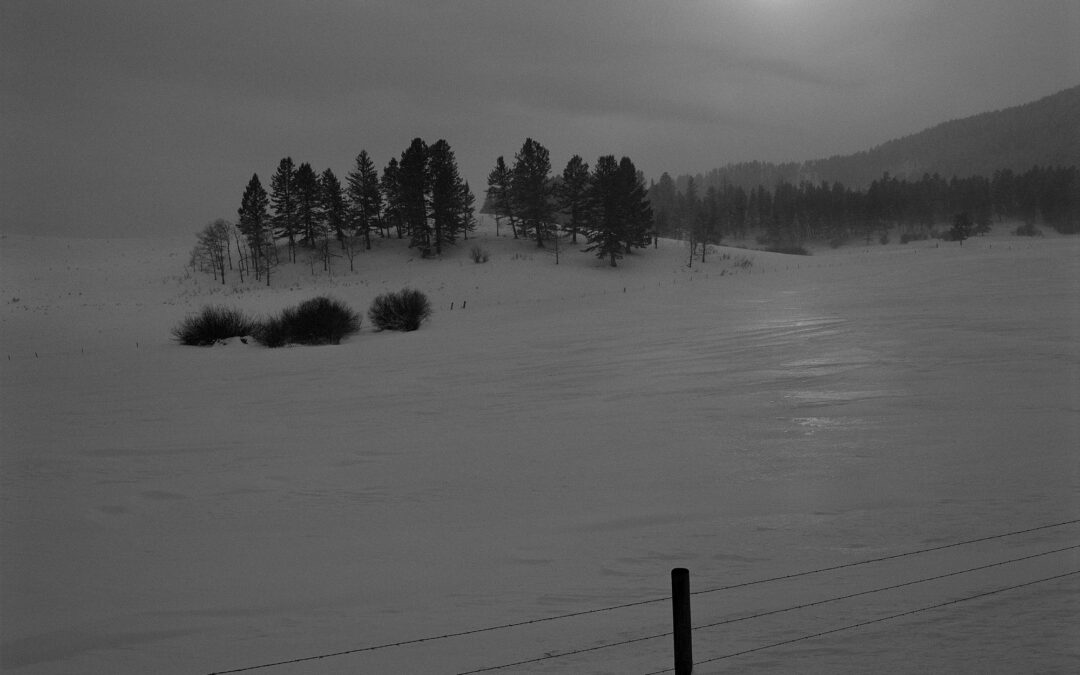 Poems by Dan Raphael