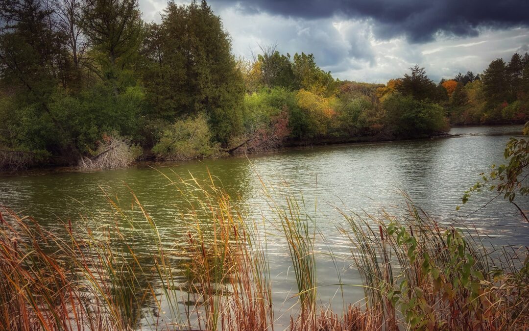 Forecasts by Yun Wang