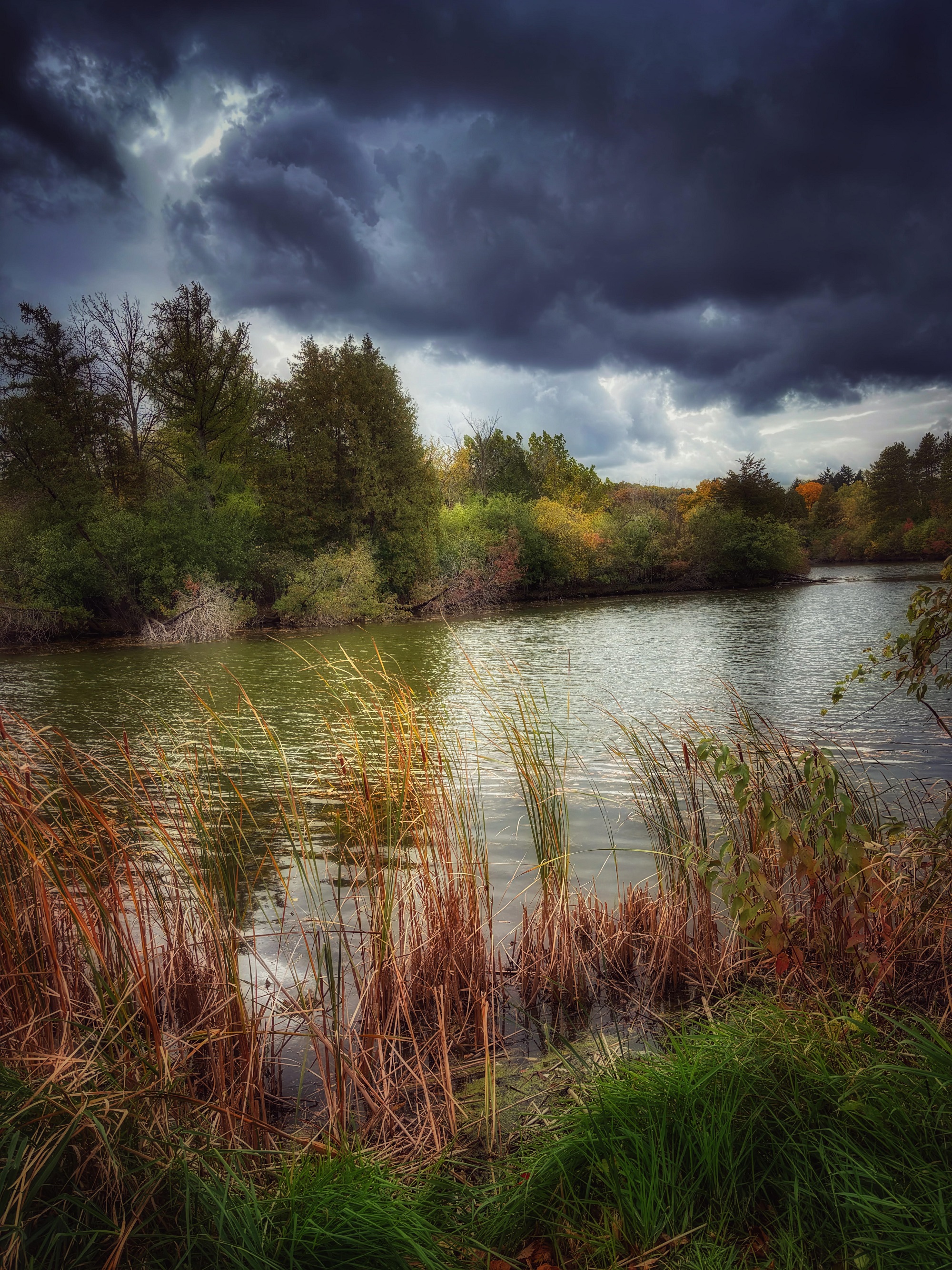 Forecasts by Yun Wang