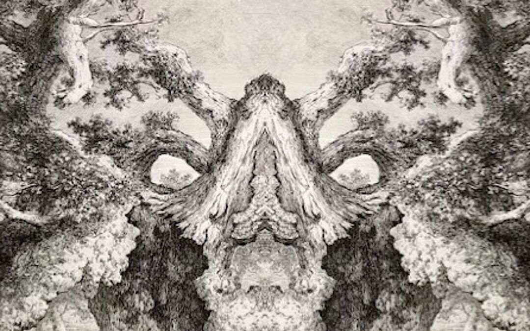 Tuber by Jake Onyett