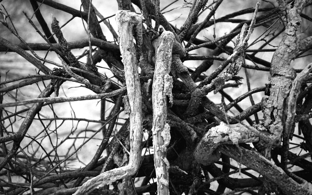 My Unfed Hunger by Wren Tuatha